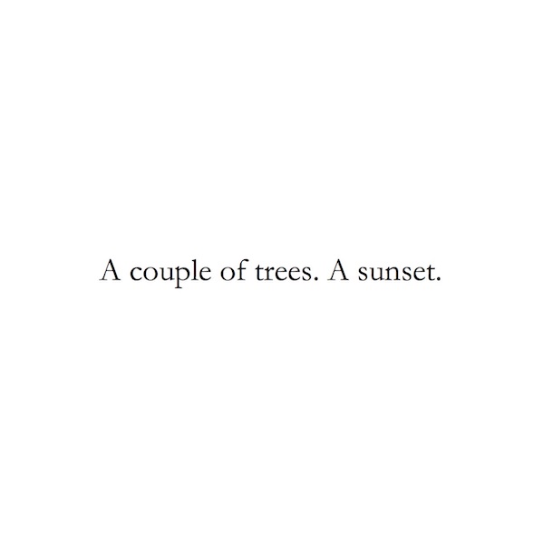 A couple of trees. A sunset.