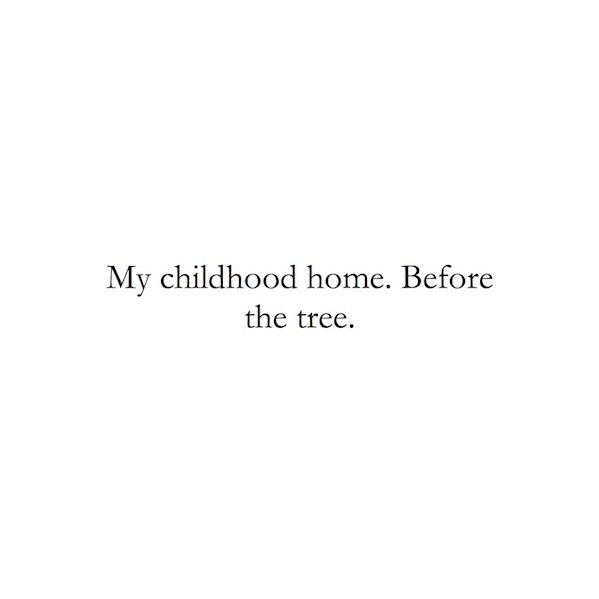 My childtood home. Before the tree.